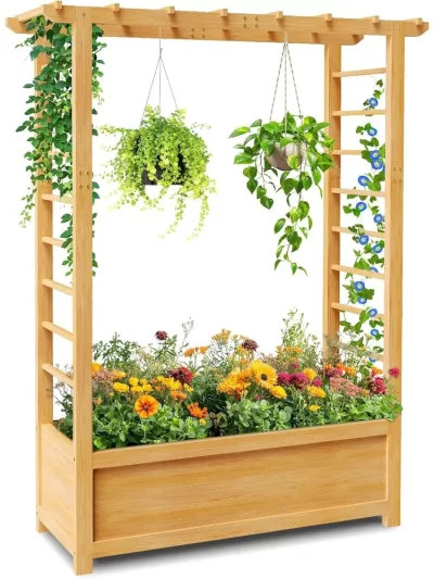 Raised Garden Bed with Trellis
