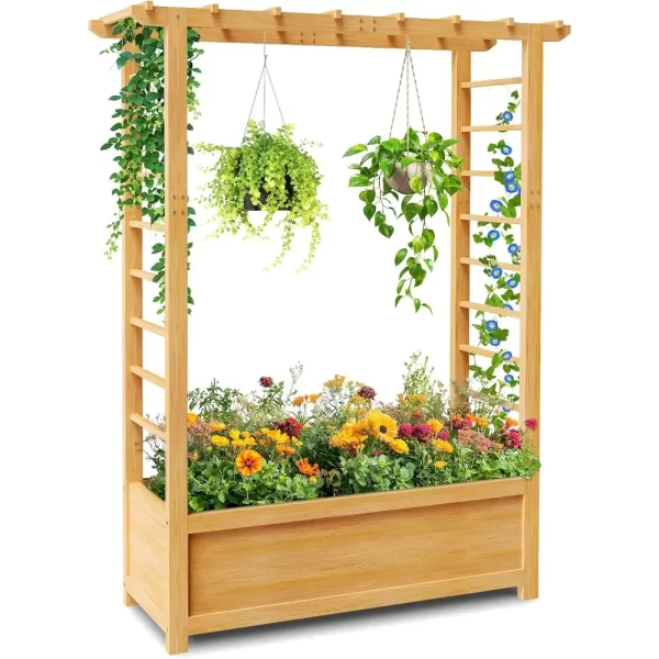 Raised Garden Bed with Trellis