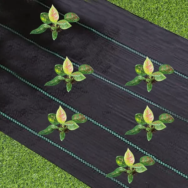 Weed Barrier Fabric Heavy Duty, Woven Weed Control Fabric - Image 3