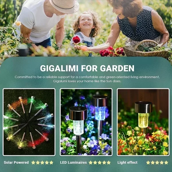 Solar Outdoor Lights Garden Lamp Solar Powered Waterproof Landscape Path lights - Image 4