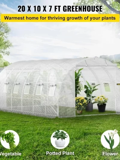 20 x 10 x 7 ft Walk-in Tunnel Greenhouse