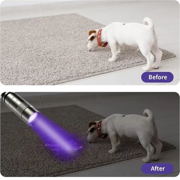 UV Flashlight 395nm Ultraviolet Torch With Pen Clip Portable AAA Batteries Used Violet Light Pet Urine Scorpion Detector UV Lamp - Image 2
