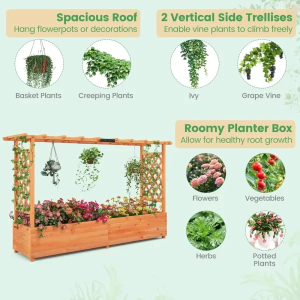 Raised Garden Bed with Trellis & Hanging Roof - Image 5