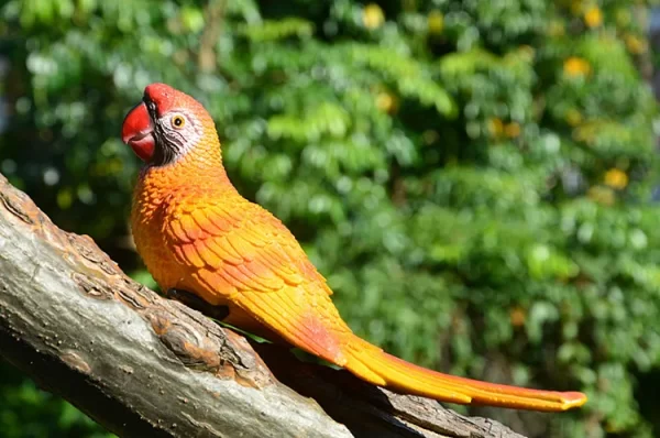 Resin Parrot Statue Wall Mounted DIY Outdoor Garden Tree Decoration Animal Sculpture - Image 35