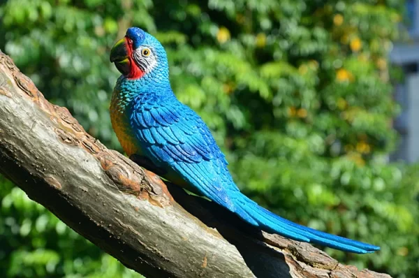 Resin Parrot Statue Wall Mounted DIY Outdoor Garden Tree Decoration Animal Sculpture - Image 37