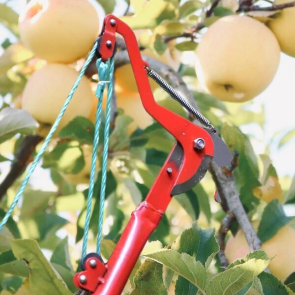 1PC High-Altitude Extension Lopper Branch Scissors - Image 16
