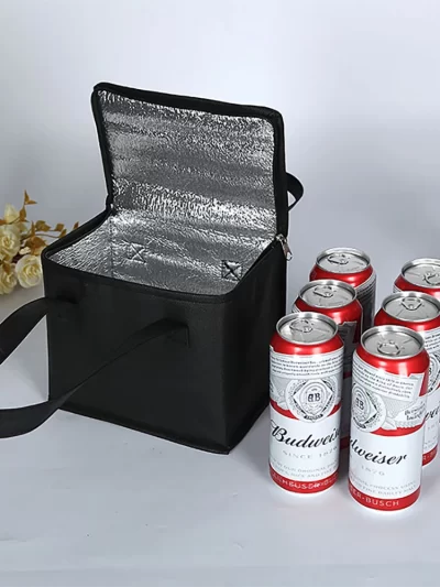 Portable Lunch Cooler Bag Folding Insulation Picnic Ice Pack Food Thermal Bag Drink Carrier Insulated Bags Beer Delivery Bag