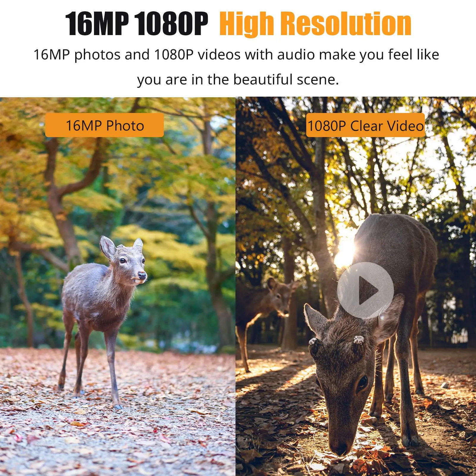 1080P Hunting Camera 2.0in LCD 16MP Infrared Night Vision Mobile Monitoring IP66 Waterproof Trail Camera trail camera - Image 12