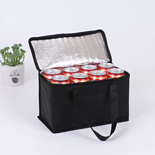 Portable Lunch Cooler Bag Folding Insulation Picnic Ice Pack Food Thermal Bag Drink Carrier Insulated Bags Beer Delivery Bag - Image 13