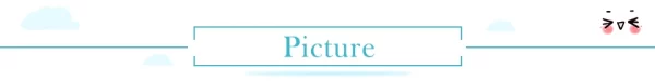 1Set Stainless Steel Plastic Rotate Potato Slicer Twisted Potato Spiral Slice Cutter - Image 14