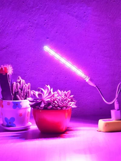 Portable Full Spectrum Led Grow Light Phytolamp Red & Blue USB