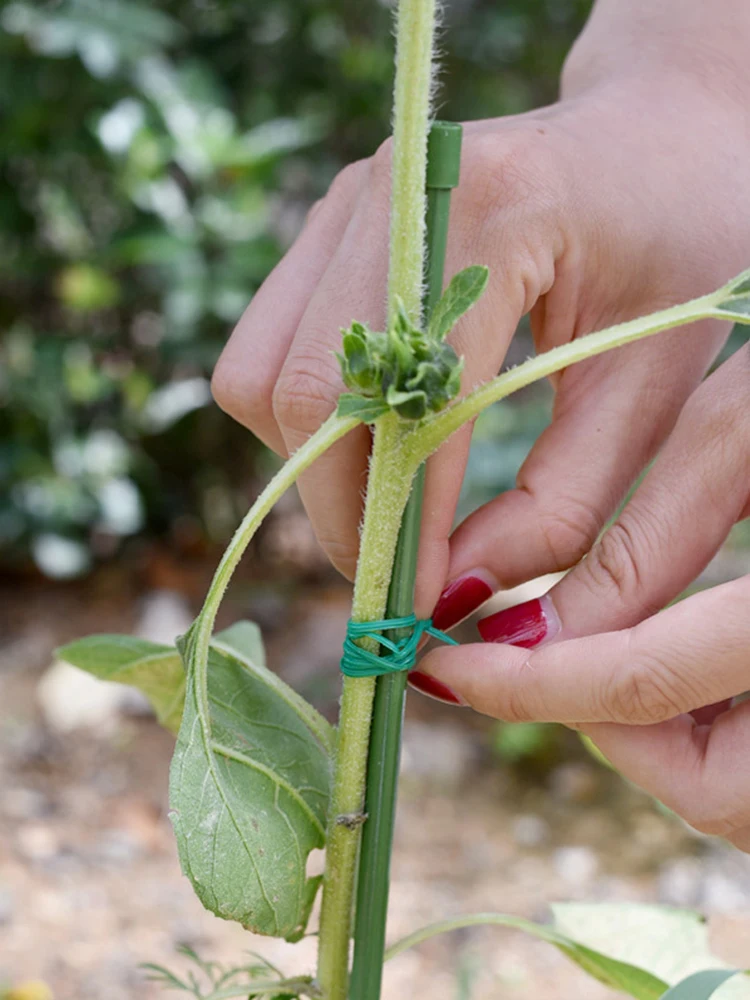 1 Roll/100M Multifunctional Plastic Steel Twist Tie Sturdy Reusable Garden Flower Plant Support Strap Tie - Image 10