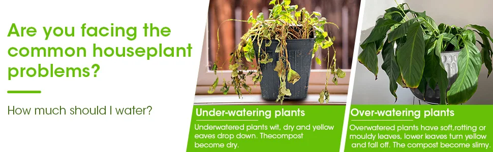 3 in 1 Digital LCD Soil Meter PH/Moisture/Temperature Soil Tester with Backlight for House Plants - Image 9