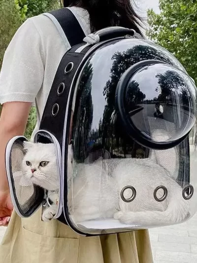 Pet Cat Carrying Bag Space Pet Backpacks Breathable Portable Transparent Backpack Puppy Dog Transport