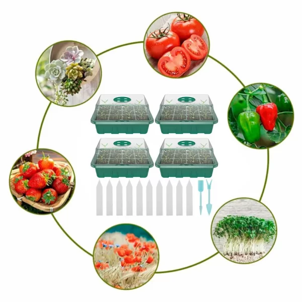 4Pcs Mini Greenhouse 12 Compartments Indoor Greenhouse Propagation Greenhouse Nursery Box With Air Vent - Image 2