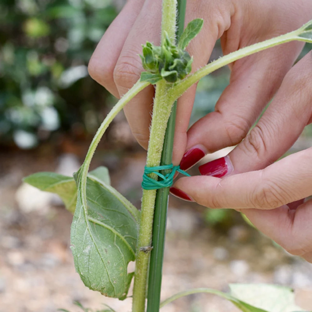 1 Roll/100M Multifunctional Plastic Steel Twist Tie Sturdy Reusable Garden Flower Plant Support Strap Tie - Image 3