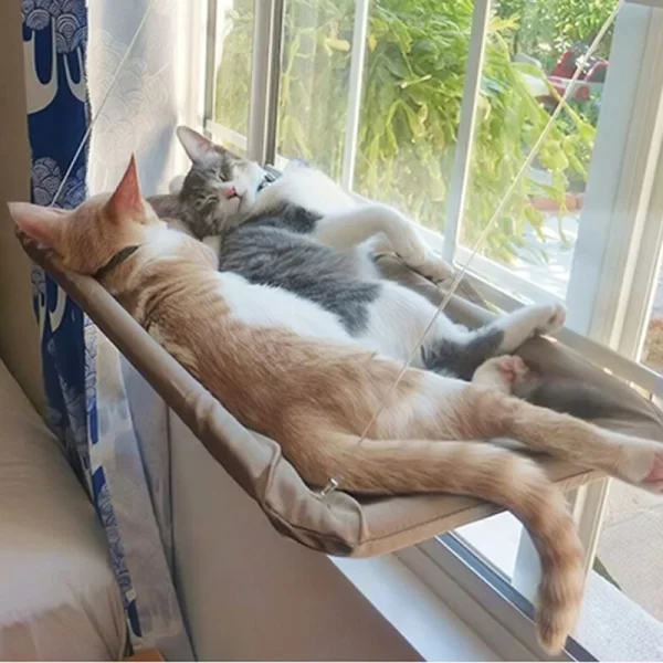 Pet Cat Hammock Aerial Hanging Cat Bed Cats Bed House Kitten Climbing Frame Sunny Window Seat - Image 4