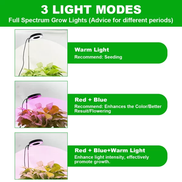 Three color with base plant light Full spectrum LED indoor plant growth light 3/9/12 timing height adjustable 10 levels dimming - Image 4
