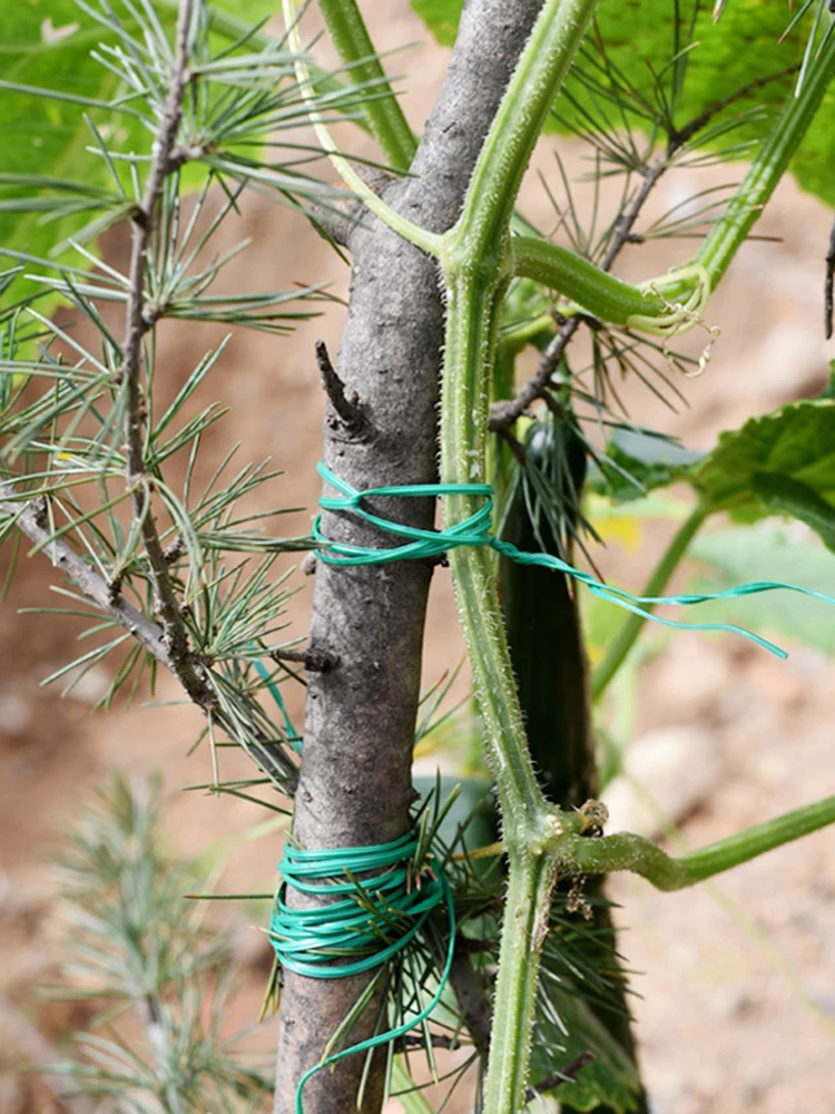 1 Roll/100M Multifunctional Plastic Steel Twist Tie Sturdy Reusable Garden Flower Plant Support Strap Tie - Image 13