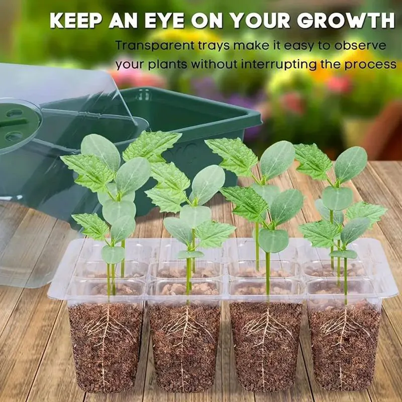 12-well Plastic Seedling Pot Succulent Sowing Seedling Box - Image 5