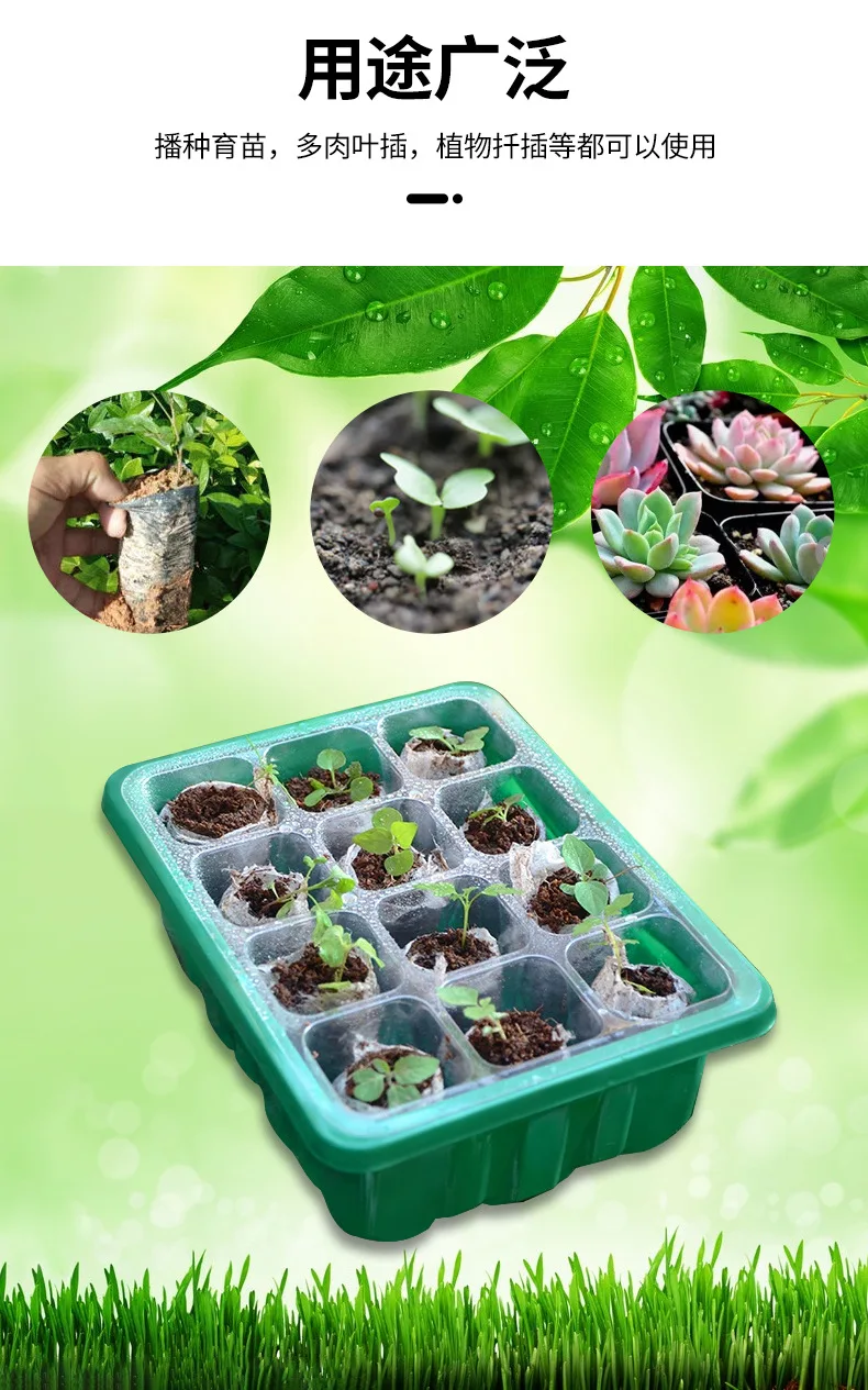 12-well Plastic Seedling Pot Succulent Sowing Seedling Box - Image 16