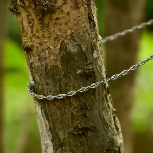 4-strand Stainless Steel Wire Saw with Handle Strong Outdoor Camping Survival Tool - Image 21