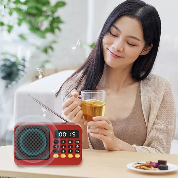 Portable Radio Music Player Handheld Rechargeable Digital FM USB TF MP3 Player Speaker - Image 21