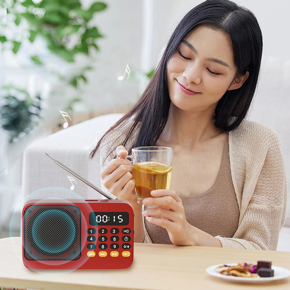 Portable Radio Music Player Handheld Rechargeable Digital FM USB TF MP3 Player Speaker - Image 21