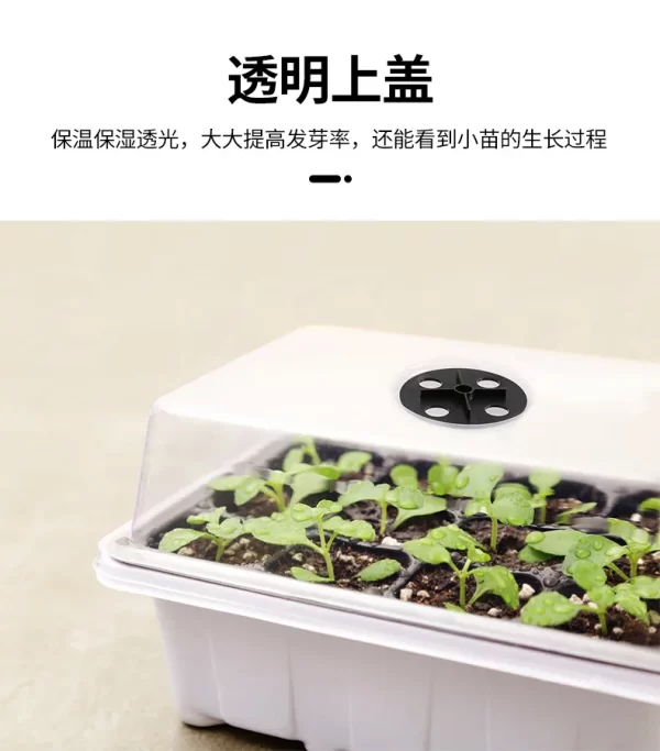12-well Plastic Seedling Pot Succulent Sowing Seedling Box - Image 11
