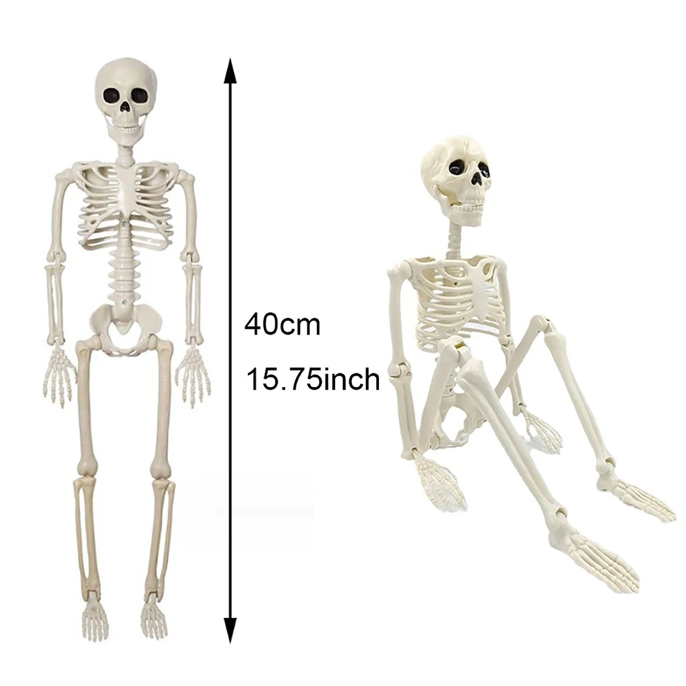 Halloween Decorations Skeleton,Posable Human Shape Skeleton,Halloween - Image 4