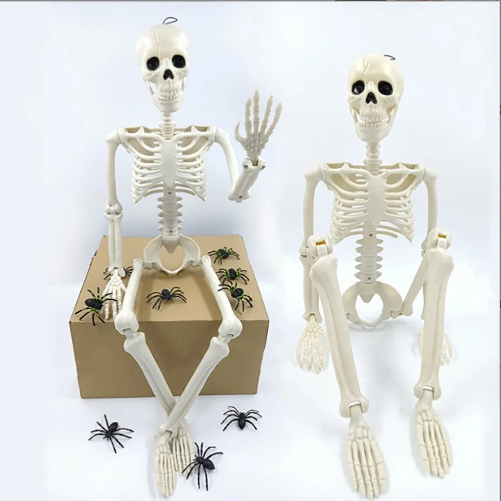 Halloween Decorations Skeleton,Posable Human Shape Skeleton,Halloween - Image 2