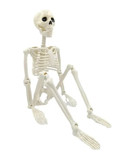 Halloween Decorations Skeleton,Posable Human Shape Skeleton,Halloween