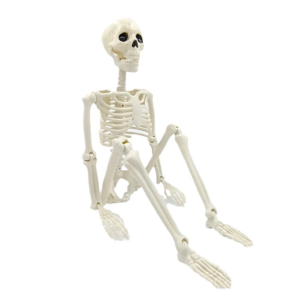 Halloween Decorations Skeleton,Posable Human Shape Skeleton,Halloween