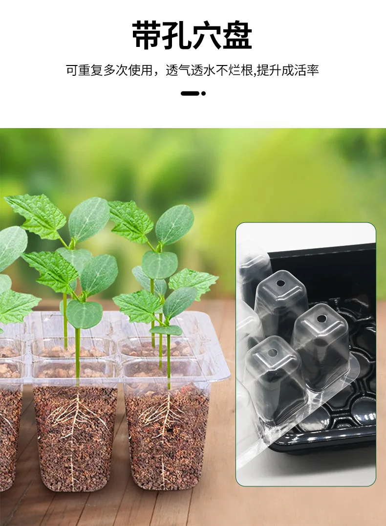 12-well Plastic Seedling Pot Succulent Sowing Seedling Box - Image 13