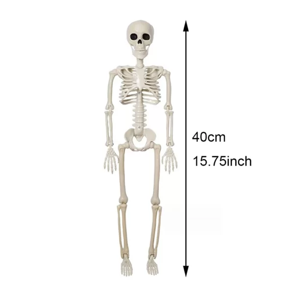 Halloween Decorations Skeleton,Posable Human Shape Skeleton,Halloween - Image 7
