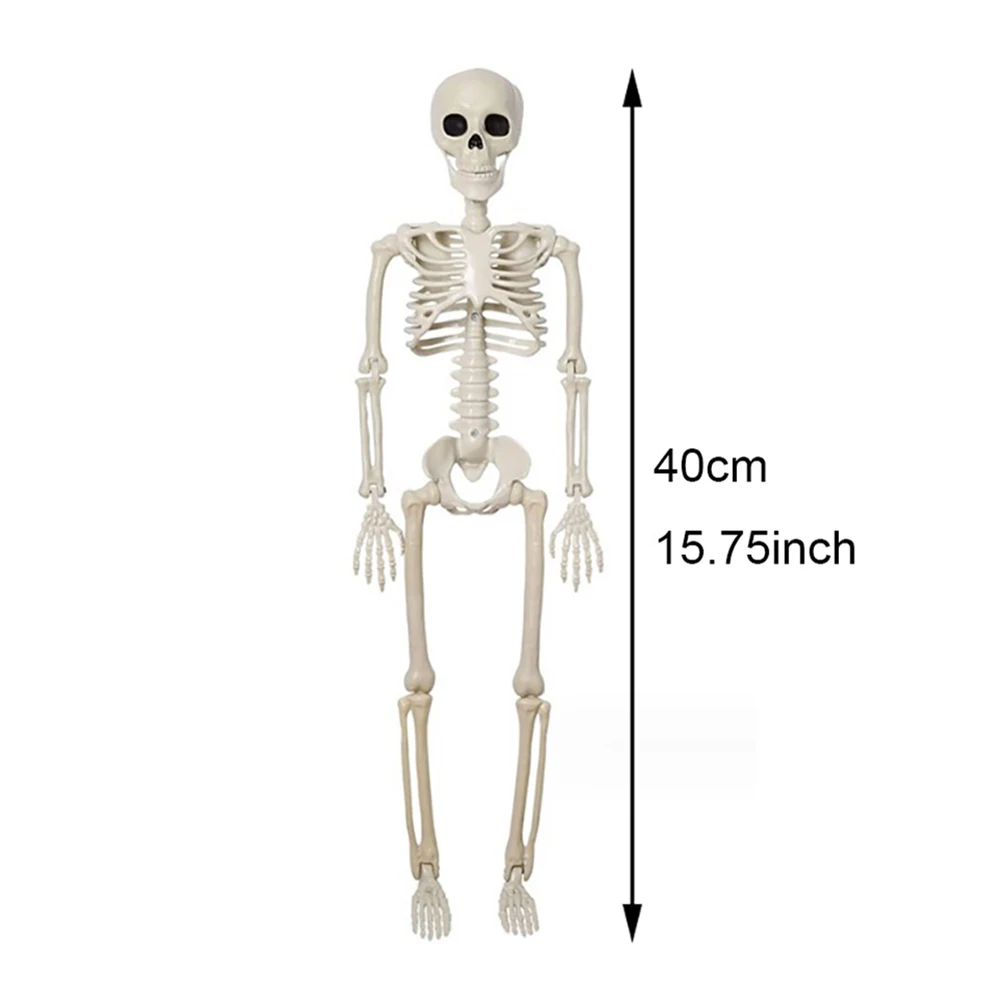 Halloween Decorations Skeleton,Posable Human Shape Skeleton,Halloween - Image 7