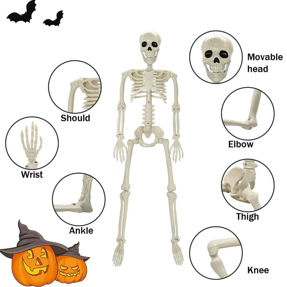Halloween Decorations Skeleton,Posable Human Shape Skeleton,Halloween - Image 3