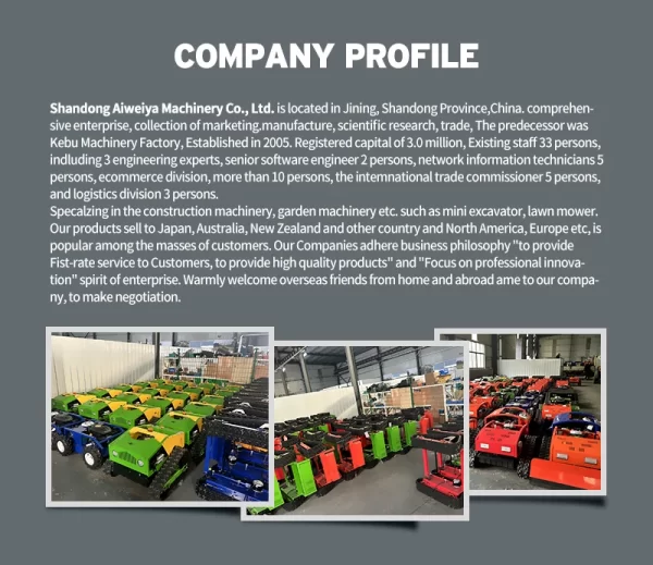 Customized CE Approved Agriculture Grass Cutting Machine Wireless Self-propelled Weeder Remote Control - Image 16