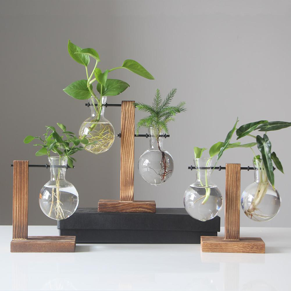 Creative Glass Desktop Planter Bulb Vase Wooden Stand Hydroponic Plant Container - Image 9