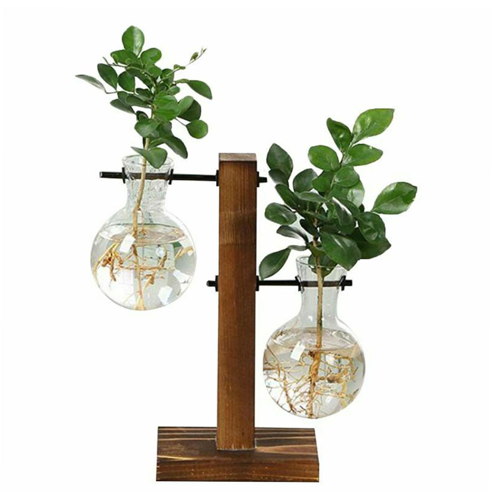 Creative Glass Desktop Planter Bulb Vase Wooden Stand Hydroponic Plant Container - Image 16