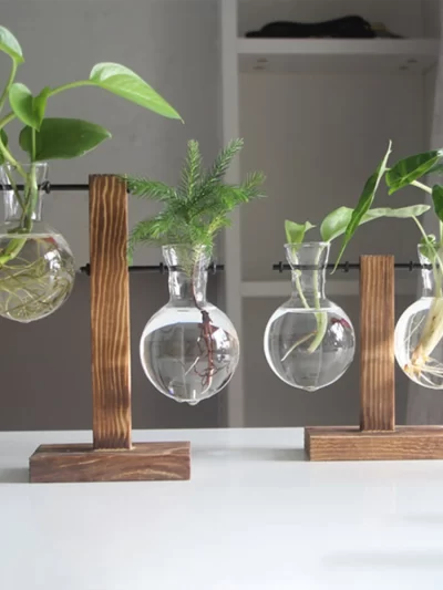 Creative Glass Desktop Planter Bulb Vase Wooden Stand Hydroponic Plant Container