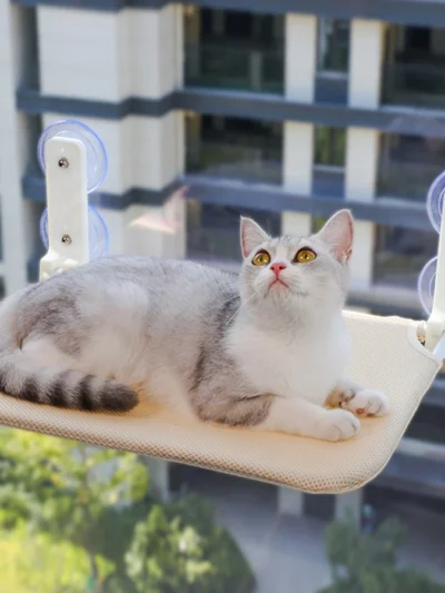 Assembly free folding cat hammock plush mesh cat window wall jumping platform double suction cup cat hammock