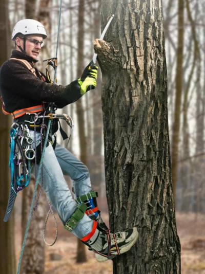 2pcs Tree Climbing Tools Spike Set, Trees Climber Rope, Climbing Fruit Picking with Safety Belt, for Outdoor Jungle Survival