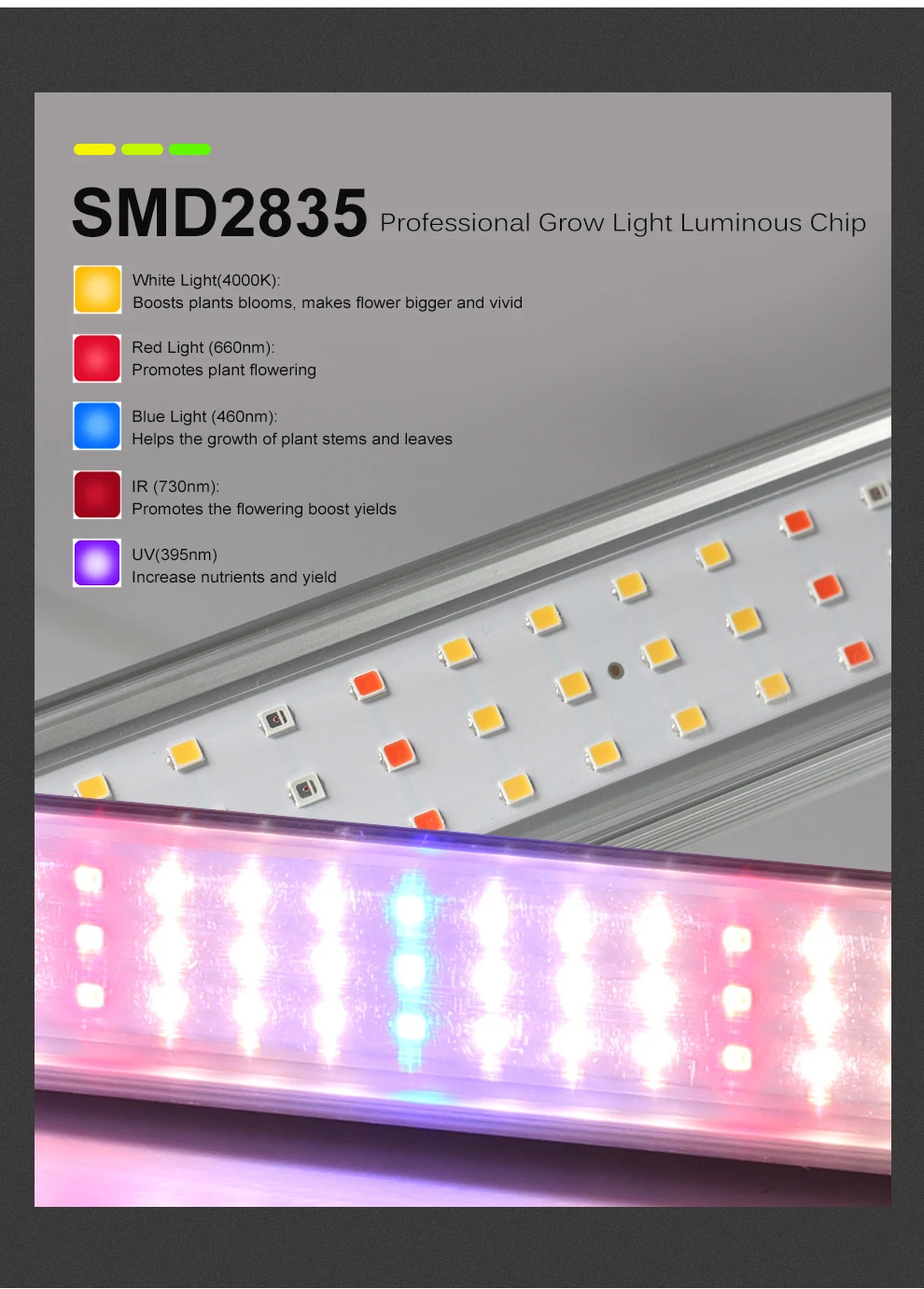 Full Spectrum Growth Lamp SMD2835 LED Lamp - Can Be Connected in Multiple Rows Greenhouse Flower Supplementary Light - Image 12
